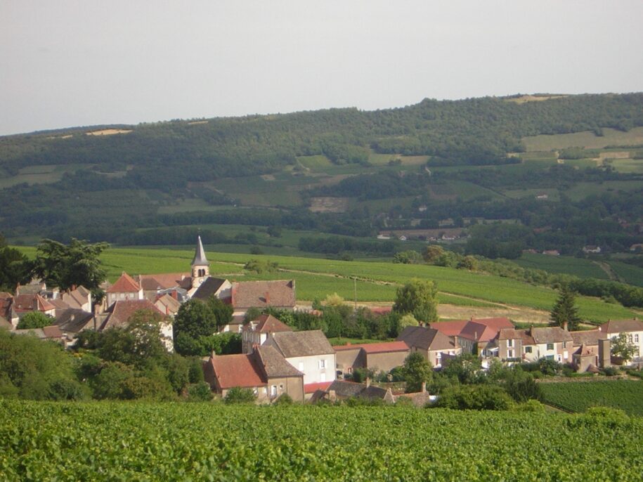 Du côté des Maranges, Maranges, Dezize-lès-Maranges, événement viticole Bourgogne, dégustation vins Maranges, vignerons Maranges, œnotourisme Bourgogne